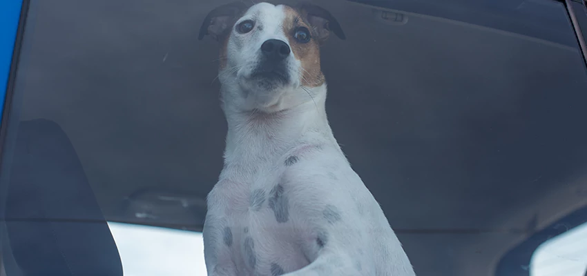 Car Lockout Solutions in Casa de Oro-Mount Helix, California