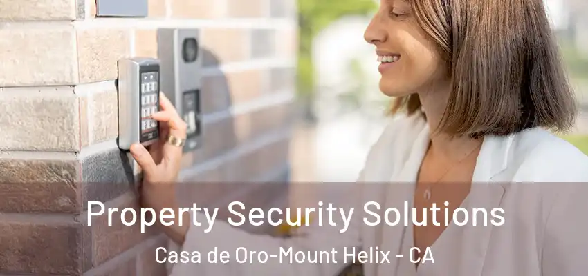 Property Security Solutions Casa de Oro-Mount Helix - CA